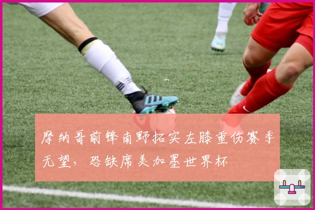 摩纳哥前锋南野拓实左膝重伤赛季无望，恐缺席美加墨世界杯