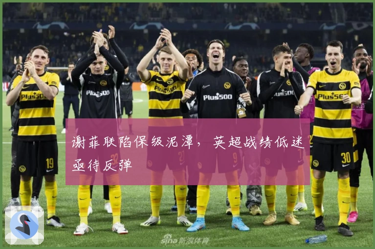 谢菲联陷保级泥潭，英超战绩低迷亟待反弹